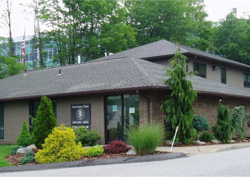 Carousel Slide 3: Take a tour of our hospital